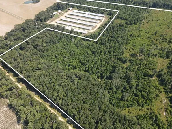 0 Duckworth Rd, Monticello, MS 39654