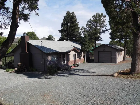 131 Snow Park Rd, Alto, NM 88312