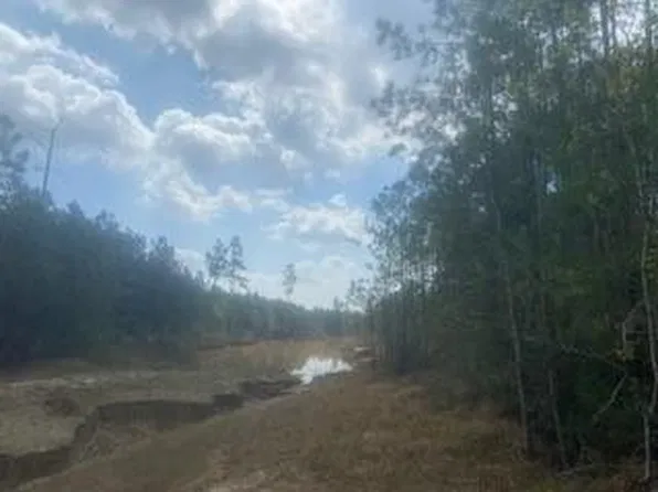Night Heron Ln, Madisonville, LA 70447