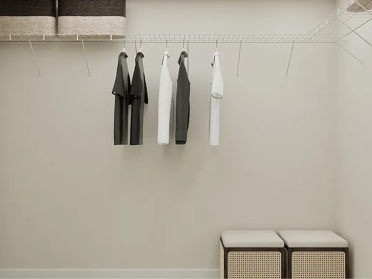 Master bed walk in closet