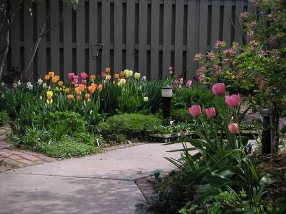 Many Perennials