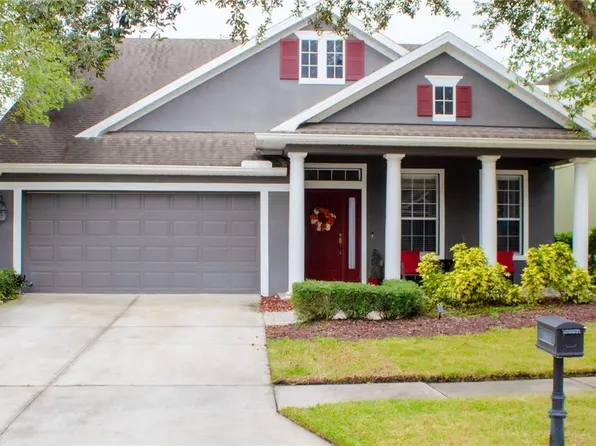 13306 Tiger Lilly Ln, Tampa, FL 33625