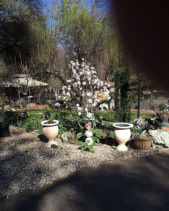 Early Spring