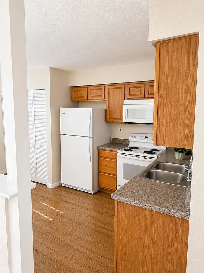 2 bed, 1.0 bath, 1000 sqft, $1,250 — Photo 3