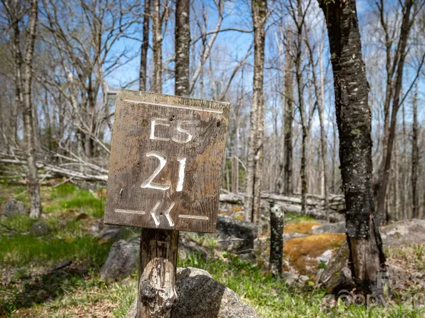 Es 21 Eagle Springs Trl, Banner Elk, NC 28604