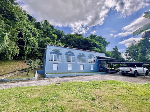 8874 Calle 3, Canovanas, PR 00729