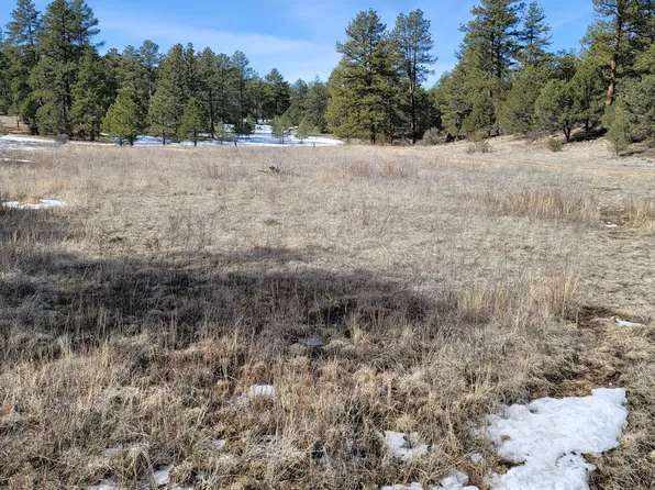 Tbd 17th Trl, Cotopaxi, CO 81223