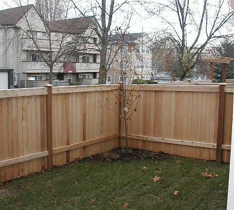 Fenced front yard