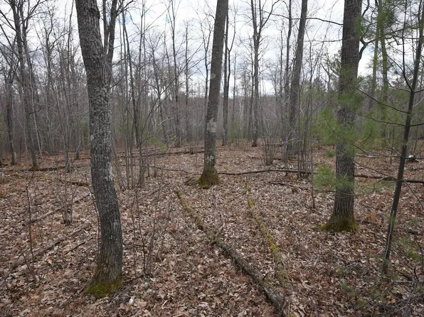 0 W Long Lake Rd, Iron River, WI 54847