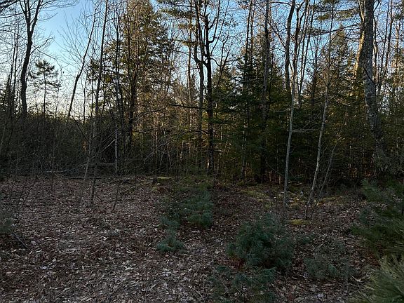 3rd image of M7L31 Nelson Ridge Road N