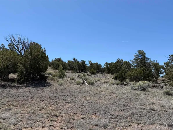 Pima Dr, Quemado, NM 87829