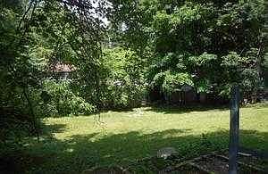 back yard