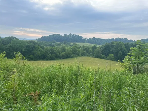 31.048 Young Hickory Rd, Blue Rock, OH 43720