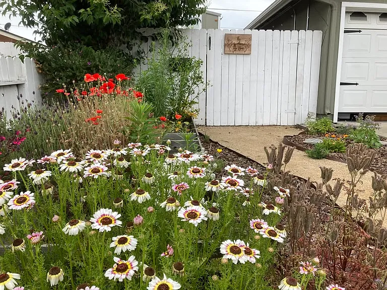 Carmella Dr — Photo 4