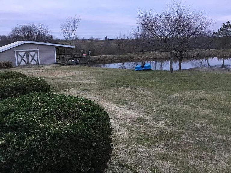 Shared Pond