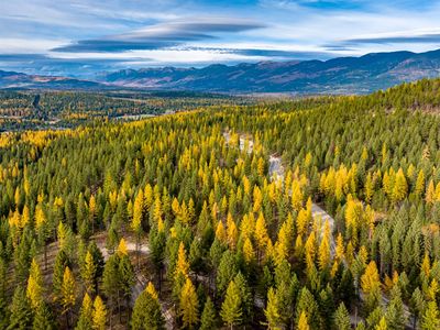 284 Garland Ln, Whitefish, MT, 59937