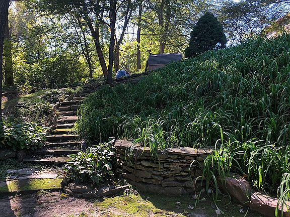 Luxurious landscaping