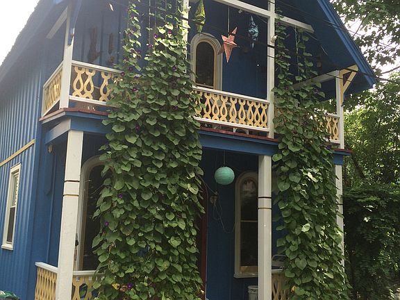 Morning Glory draped house