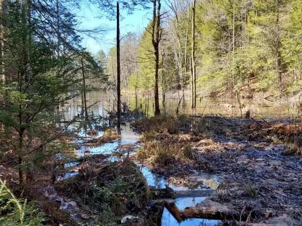 333 Dog Branch School Rd, London, KY 40741