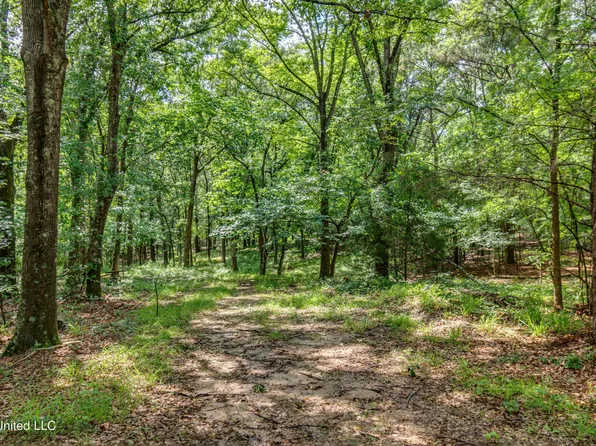 N Livingston Rd, Madison, MS 39110