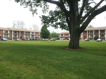 Village Terre Apartments — Photo 8