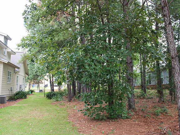 4th image of 214 Bellegrass Blvd