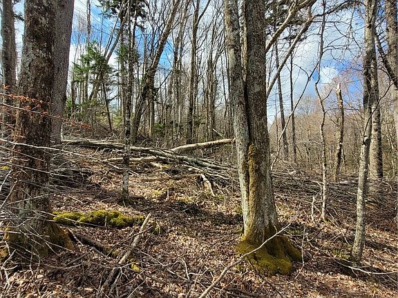 3rd image of 134-136 Wild Daisy Lane