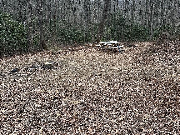 4th image of 322 Leafy Knoll Circle