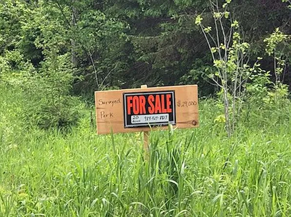 23809 S Ozark Rd, Trout Lake, MI 49793