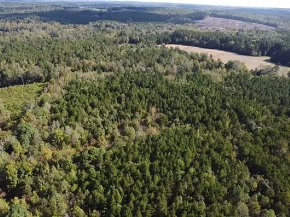 6.8 Acs Wilson Rd, Virgilina, VA 24598