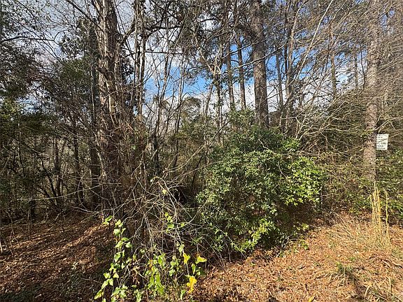 2nd image of 219 Mallard Dr Lot 219-218-217
