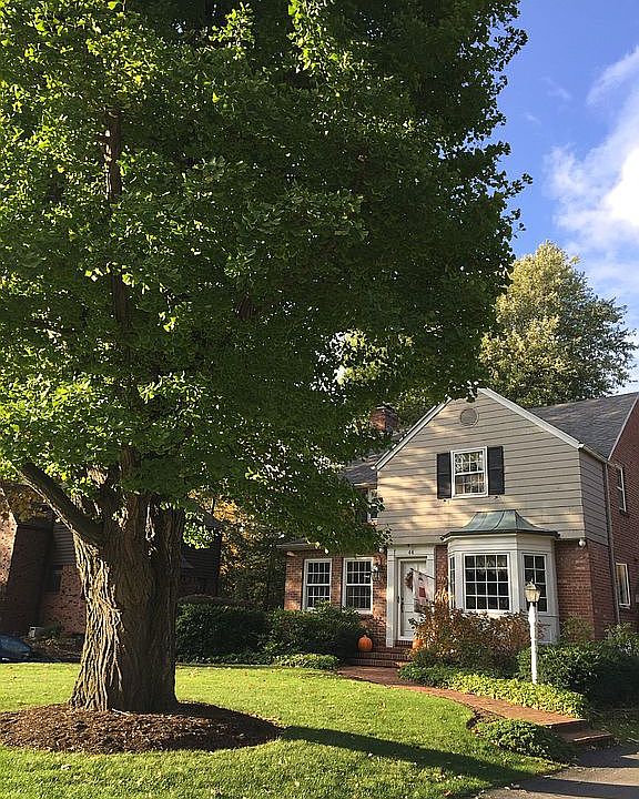 2nd image of 44 Northledge Dr