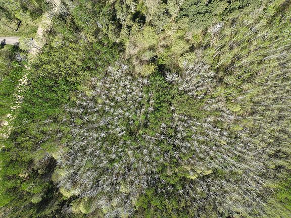 4th image of 10 Bog Lake Trl