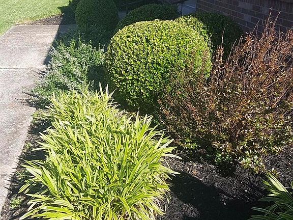 3rd image of 475 Osprey Cir