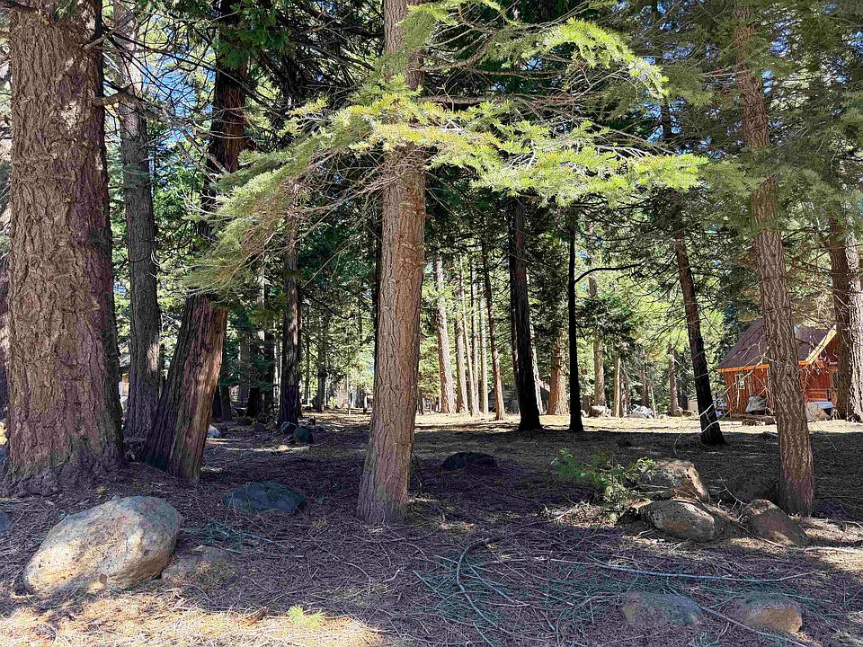 2nd image of 722 Conifer Trl