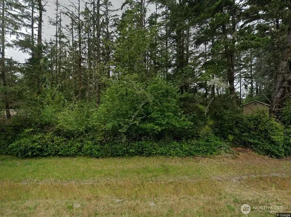 1011 SE Discovery Avenue, Ocean Shores, WA 98569