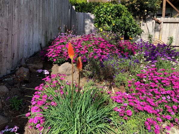 455 Arlington Ave, Berkeley, CA 94707