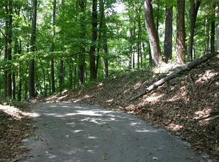 4544 Sassafras Ct LOT 4544, Jasper, GA 30143