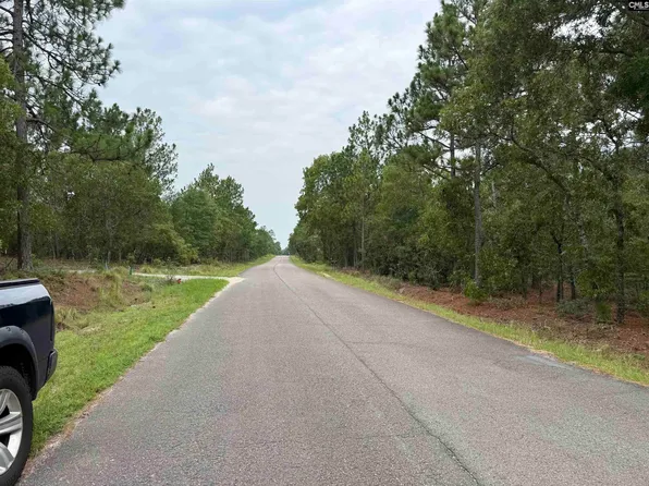Near 615 Browns Pond Rd, Wagener, SC 29164
