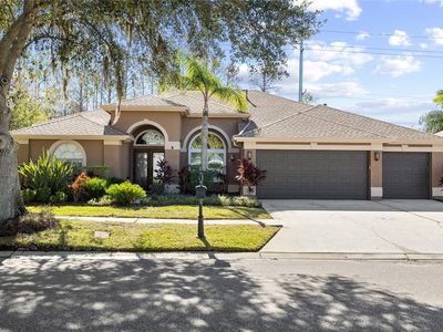 12310 Seabrook Dr, Tampa, FL, 33626