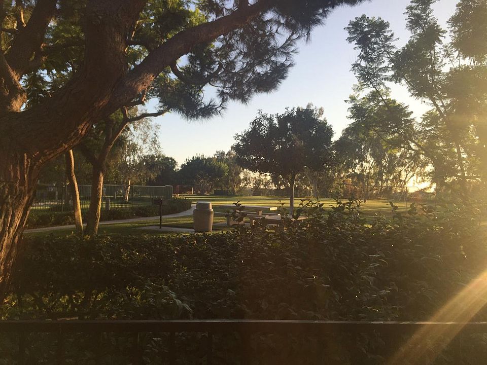 View of the park from back patio