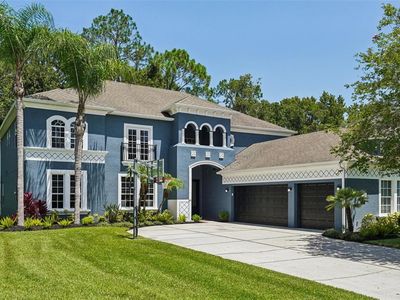 3511 Loggerhead Way, Wesley Chapel, FL, 33544