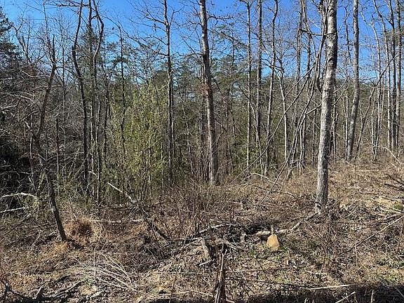 3rd image of Na Vine Ridge Rd