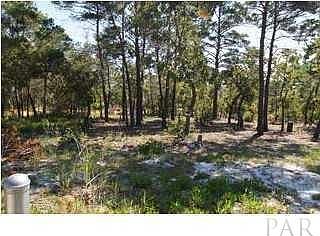 2nd image of Ponderosa Dr