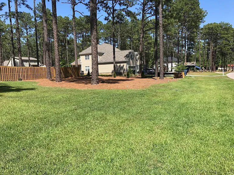 Side Yard