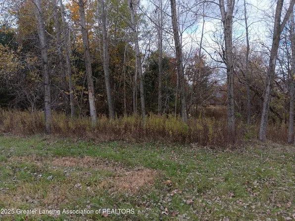603 Country Dr, Perry, MI 48872