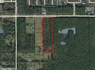 County Road 220, Middleburg, FL 32068