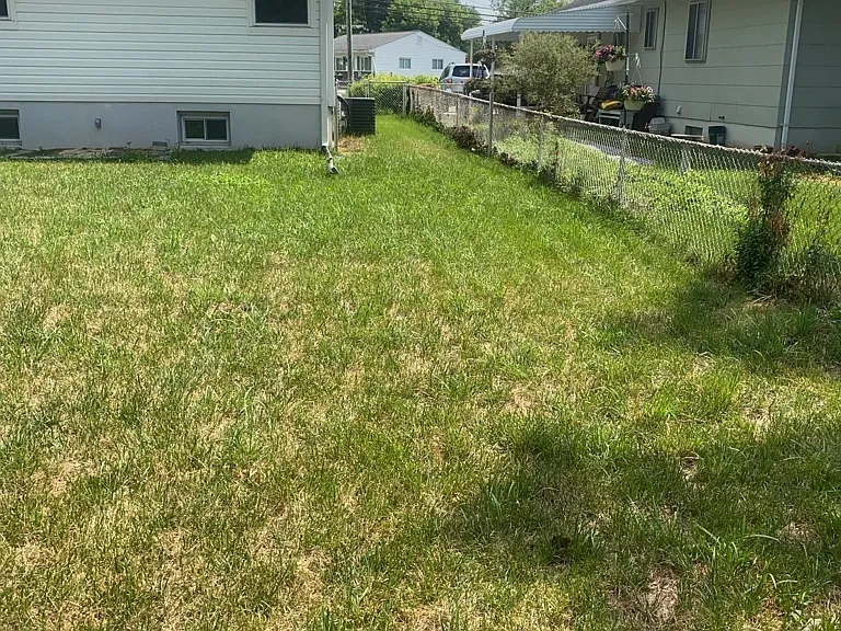6215 Auth Rd — Photo 5