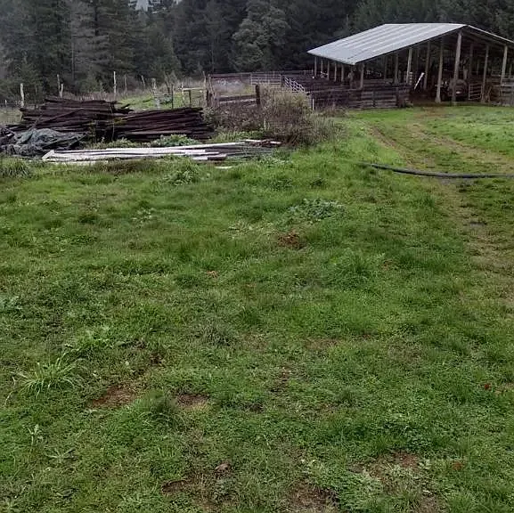 13333 Low Gap Rd — Photo 14
