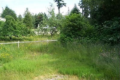 Large garden with fruit trees